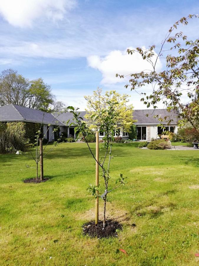 Applecroft House Bed & Breakfast Killarney Eksteriør bilde